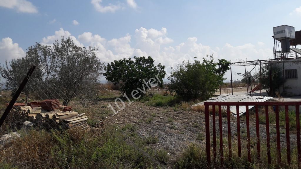 Detached House For Sale in İnönü, Famagusta