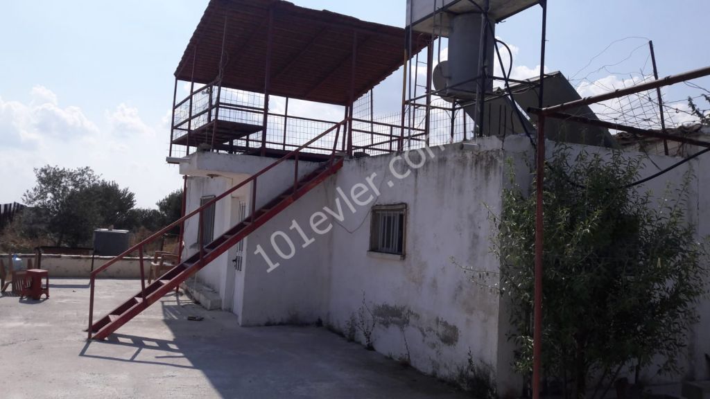 Detached House For Sale in İnönü, Famagusta