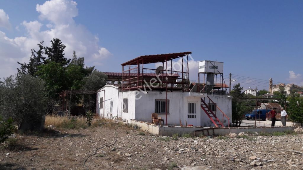 Detached House For Sale in İnönü, Famagusta