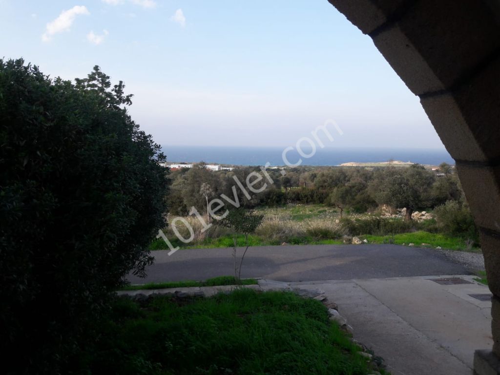Detached House For Sale in Yeni Erenköy, Iskele