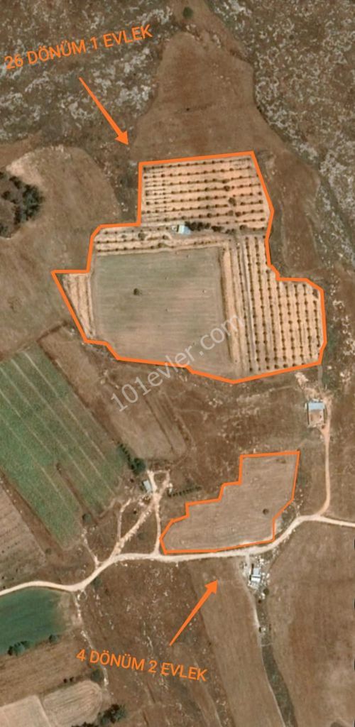 Field For Sale in Sınırüstü, Iskele