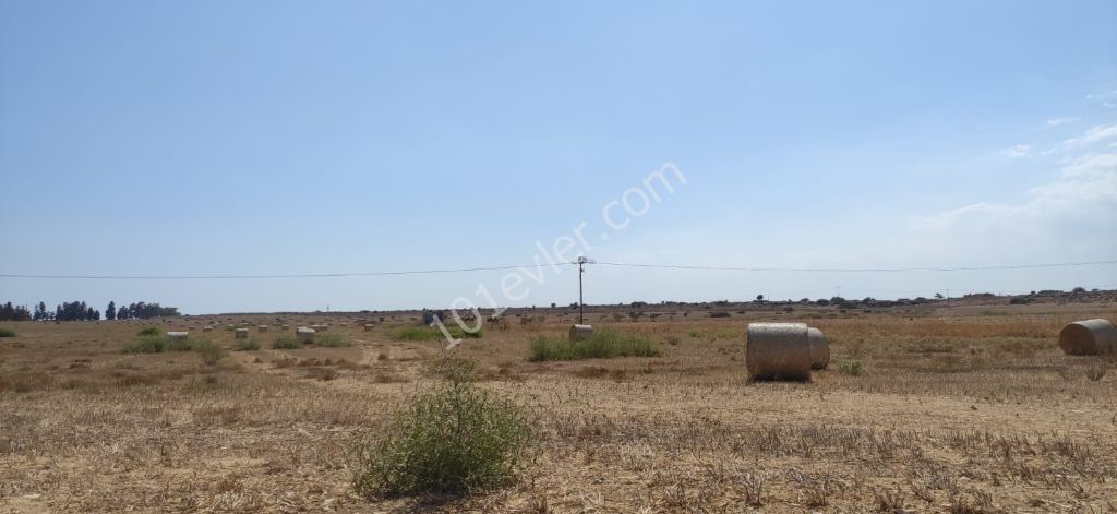 Field For Sale in Dörtyol, Famagusta
