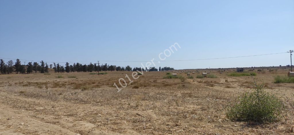 Field For Sale in Dörtyol, Famagusta