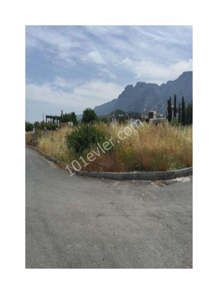 1 Donum 120m2 land for sale in Alsancak