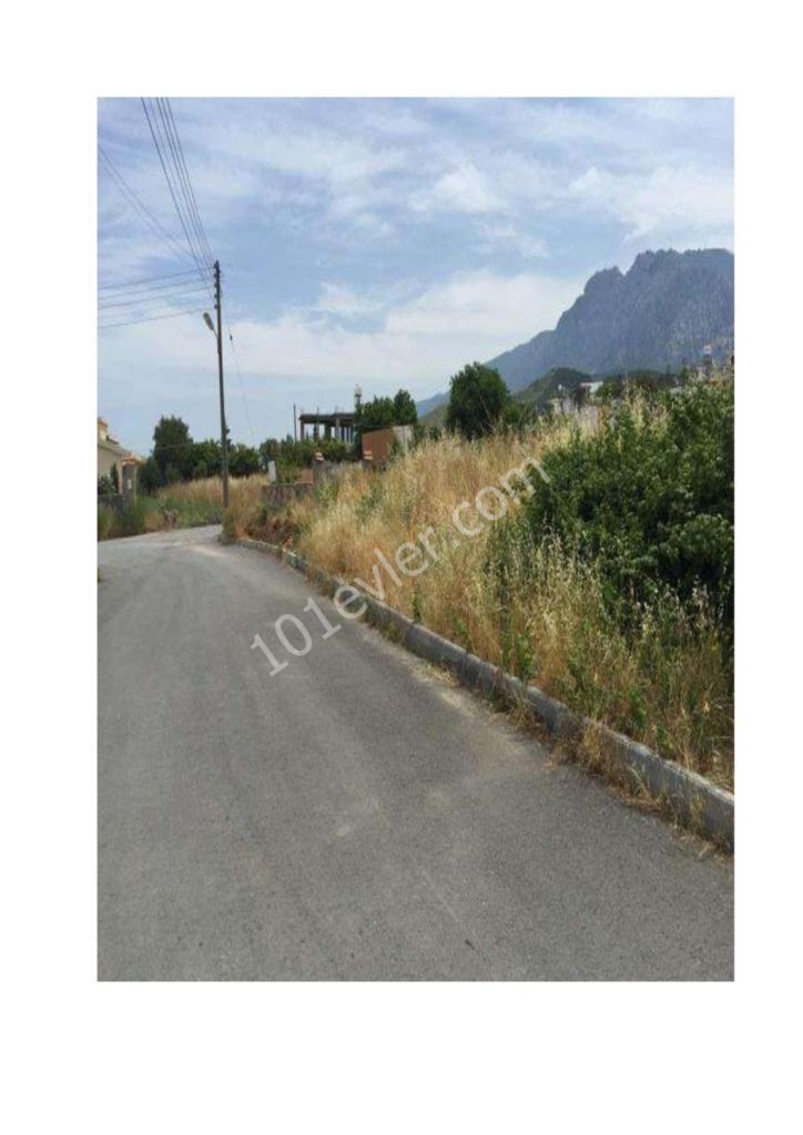 1 Donum 120m2 land for sale in Alsancak