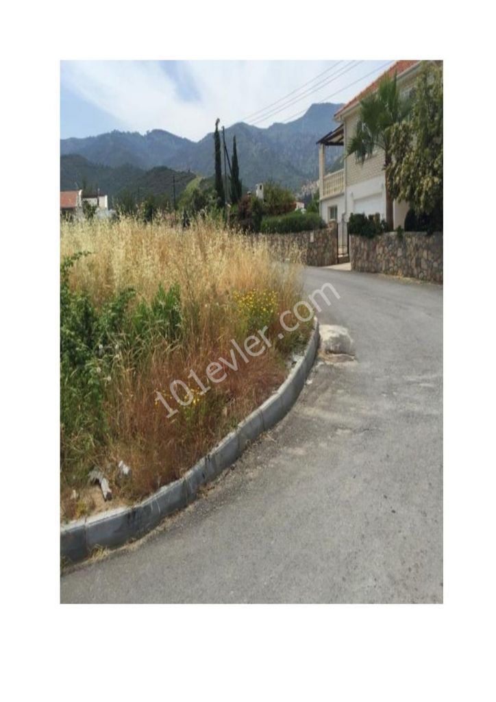 1 Donum 120m2 land for sale in Alsancak