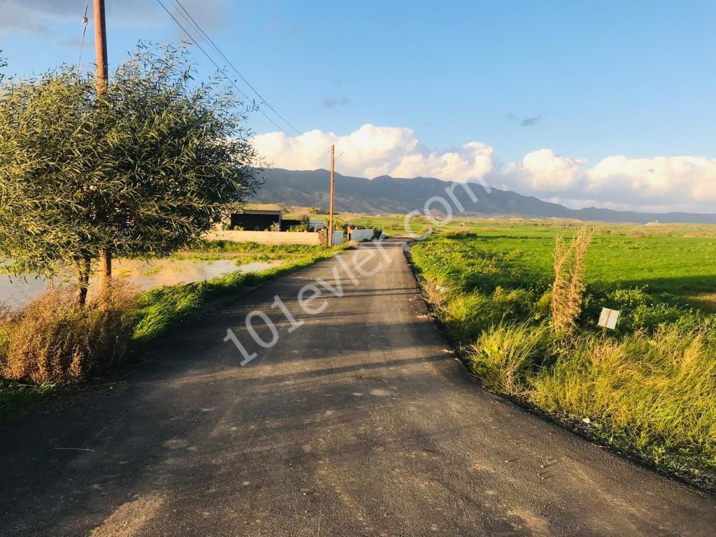 Field For Sale in Çukurova, Nicosia