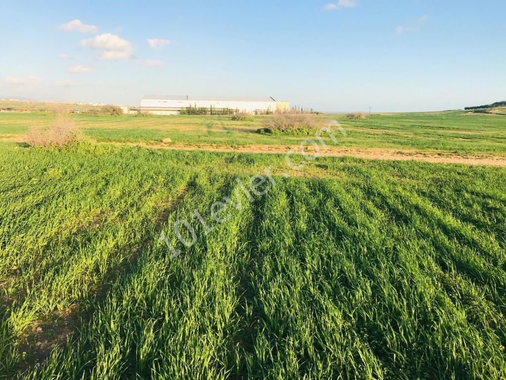 Field For Sale in Çukurova, Nicosia