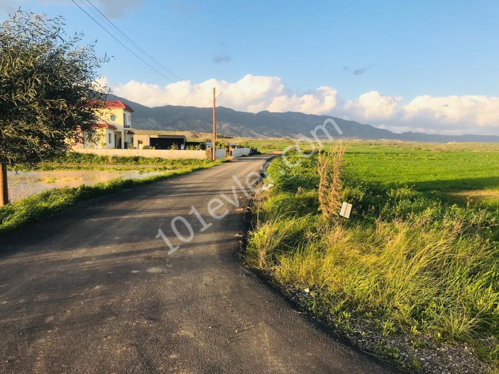 Field For Sale in Çukurova, Nicosia