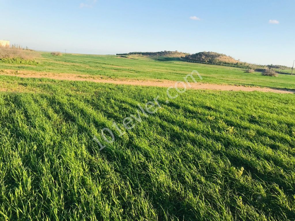 Field For Sale in Çukurova, Nicosia