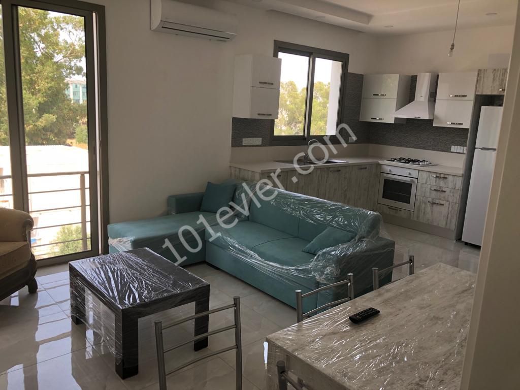 Flat To Rent in Ortaköy, Nicosia