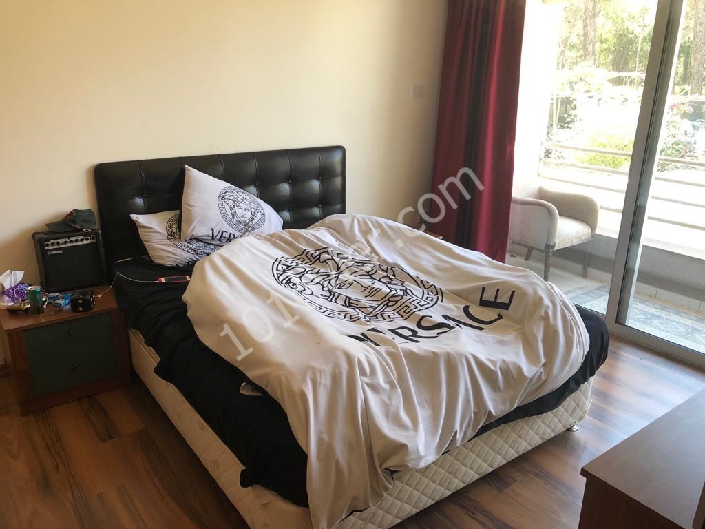 Flat To Rent in Ortaköy, Nicosia