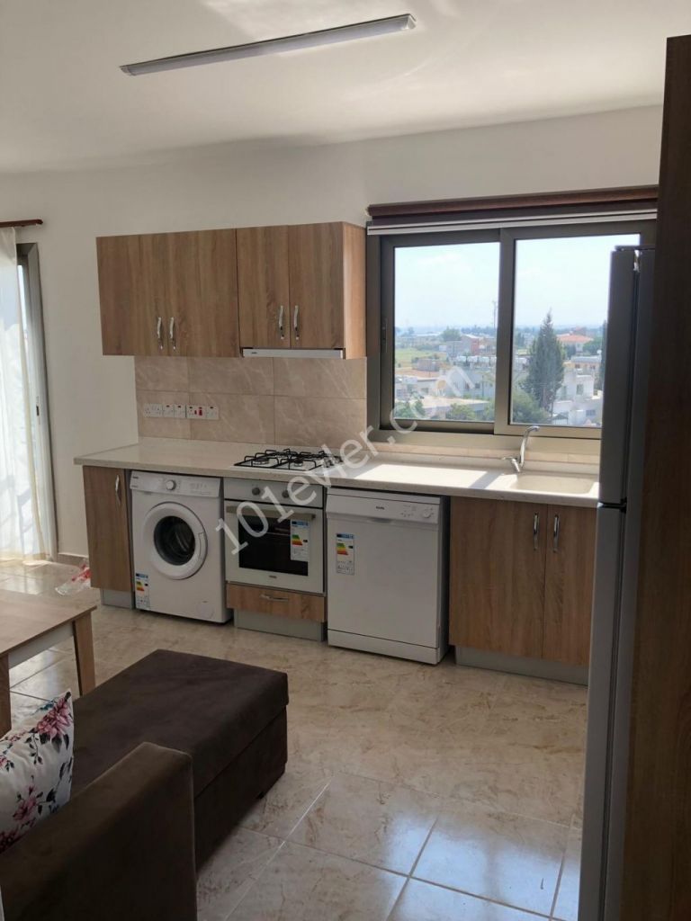 Flat To Rent in Haspolat, Nicosia