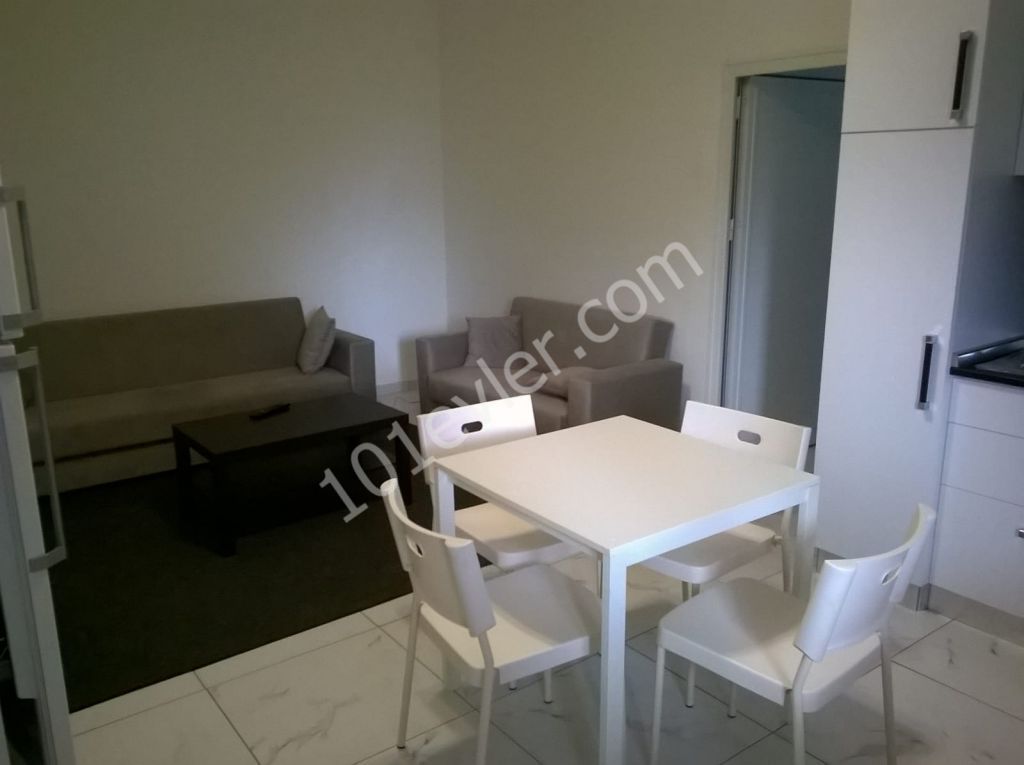 Flat To Rent in Marmara, Nicosia