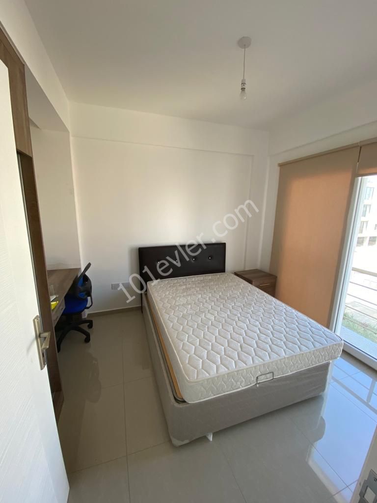 KÜÇÜK KAYMAKLI LEMAR ARKASI 2+1 LÜX  KİRALIK DAİRE 