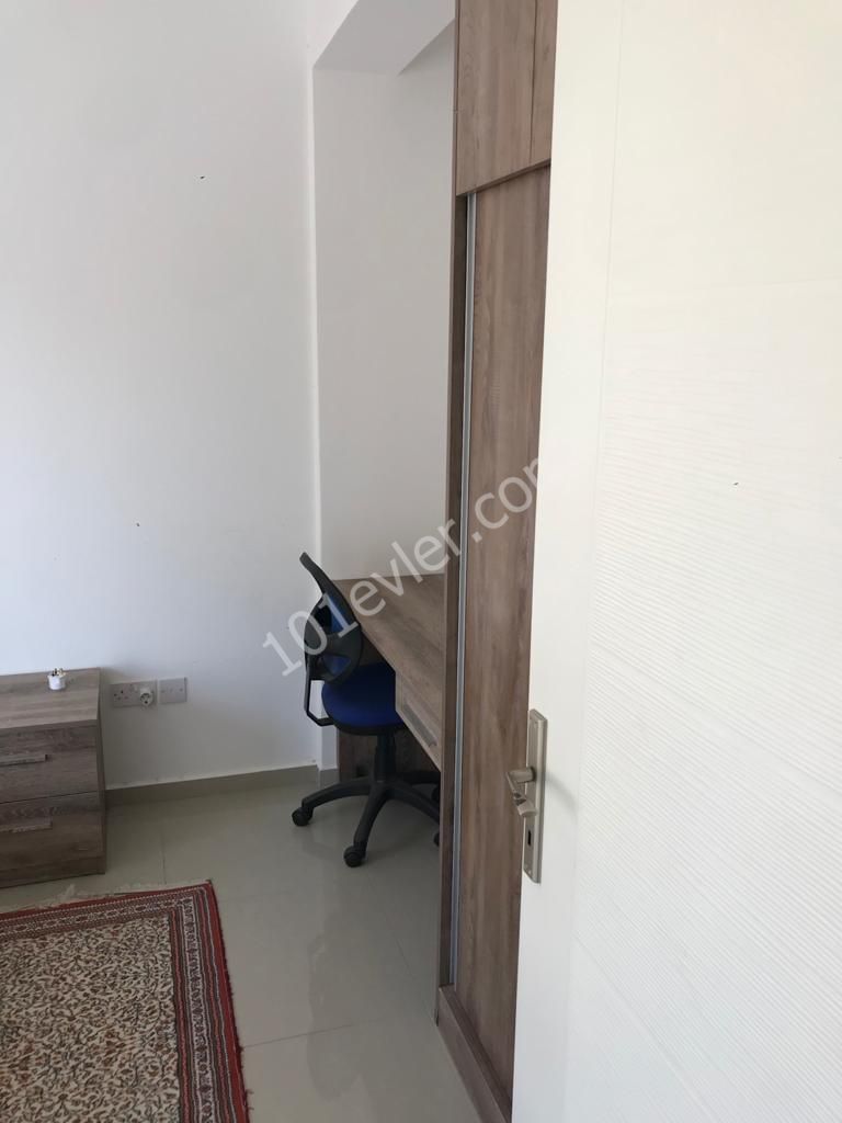 KÜÇÜK KAYMAKLI BÖLGESİNDE LEMAR ARKASI 2+1 KİRALIK DAİRE 