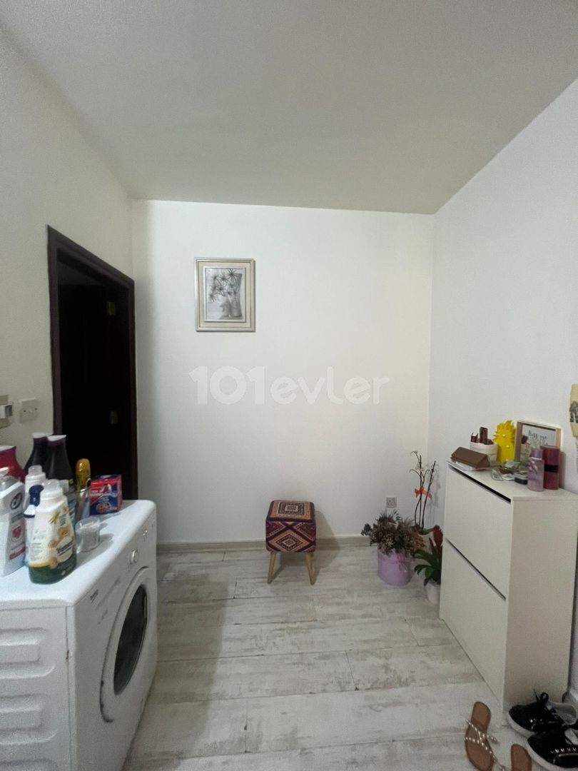 1+1 apartment for rent in Lefcosa