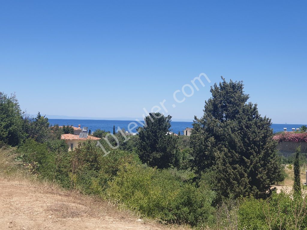 FOR SALE Plot in Çatalköy with or without Project. All visas granted !