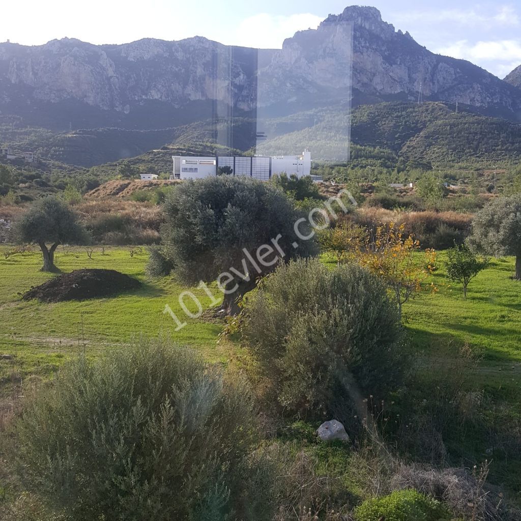 Flat For Sale in Zeytinlik, Kyrenia