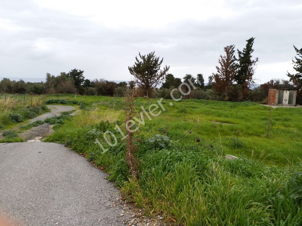 Residential Zoned Plot For Sale in Lapta, Kyrenia