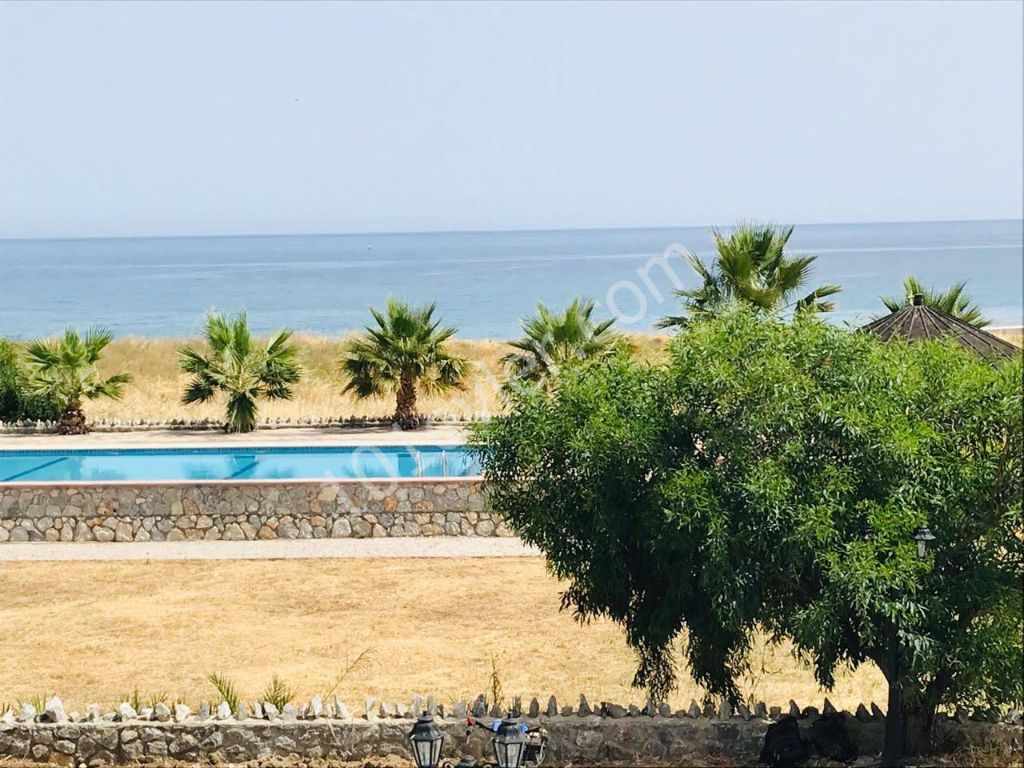 Flat To Rent in Lapta, Kyrenia