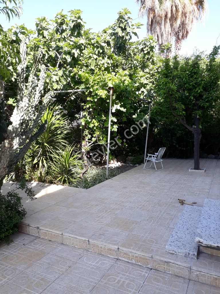 Complete Building For Sale in Karakum, Kyrenia