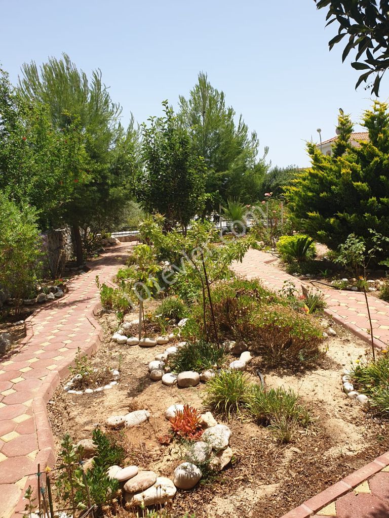 Villa For Sale in Boğaz, Iskele