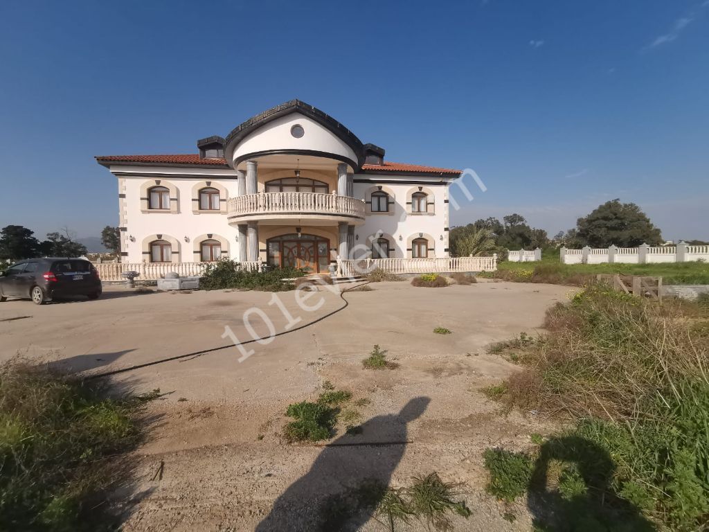 Complete Building For Sale in İskele Merkez, Iskele