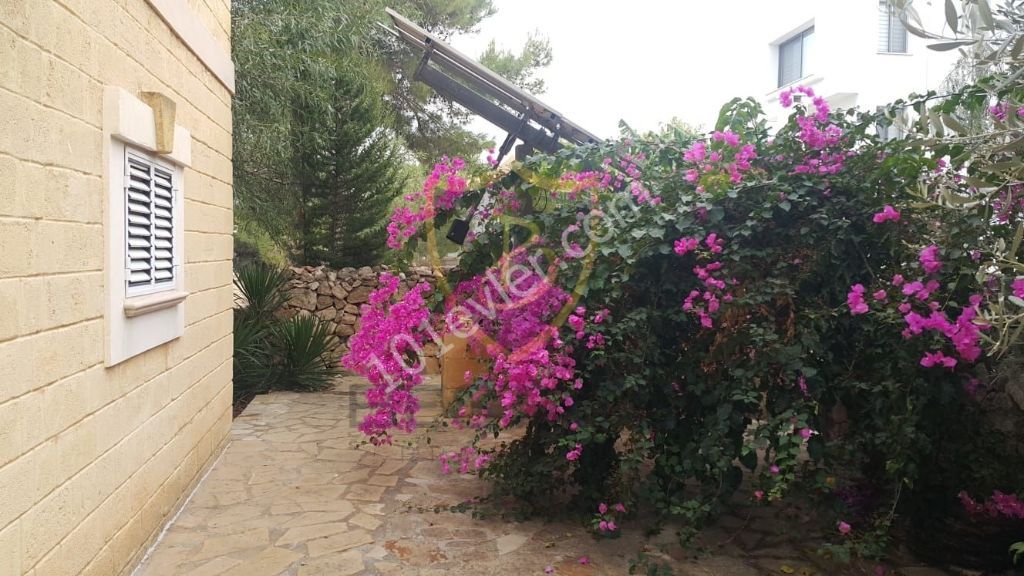 GIRNE ZEYTINLIK FOR SALE 4+1 STONE VILLA NOSTALGIA (GERMAN ENGINEERING) !