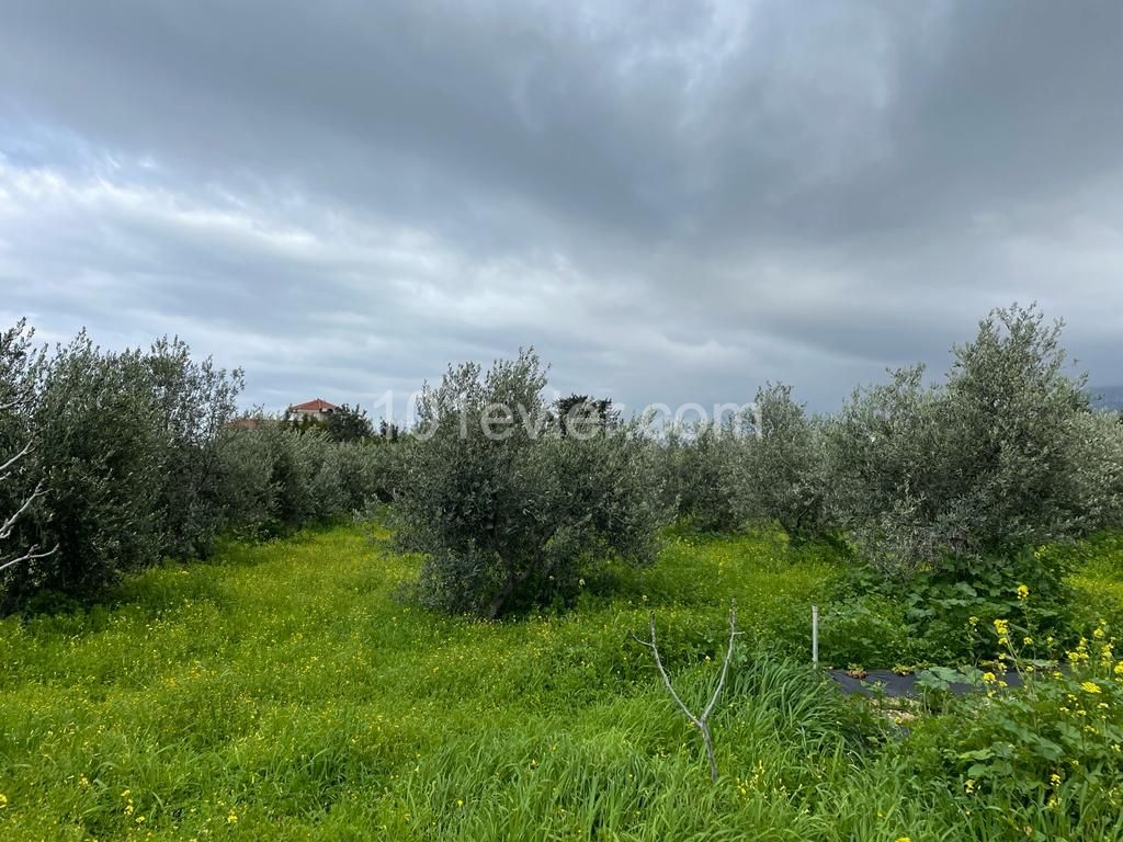 LAND FOR SALE IN ÇATALKOY, KYRENIA SUITABLE FOR VILLA CONSTRUCTION!! ** 