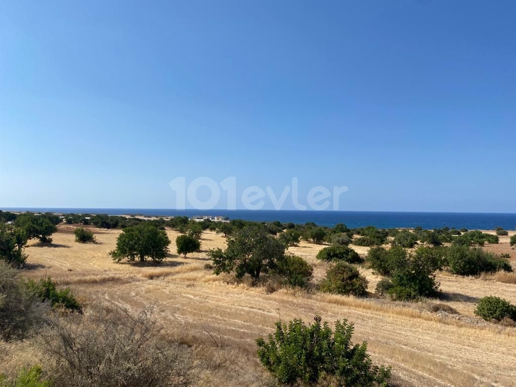 LAND PLOTS FOR SALE IN FAMAGUSTA TATLISU, ZERO TO THE HIGHWAY AND ZERO TO THE SEA Decked OUT!! ** 