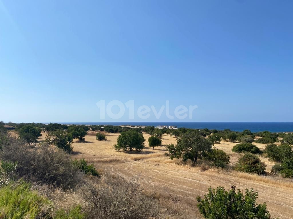 LAND PLOTS FOR SALE IN FAMAGUSTA TATLISU, ZERO TO THE HIGHWAY AND ZERO TO THE SEA Decked OUT!! ** 