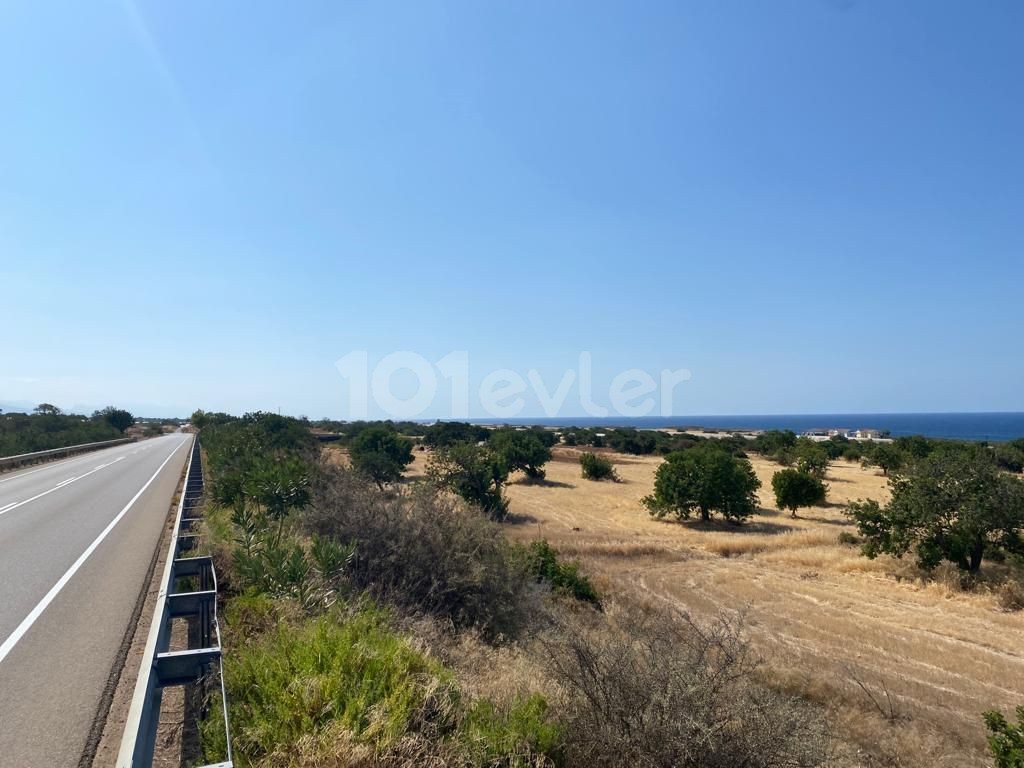 LAND PLOTS FOR SALE IN FAMAGUSTA TATLISU, ZERO TO THE HIGHWAY AND ZERO TO THE SEA Decked OUT!! ** 