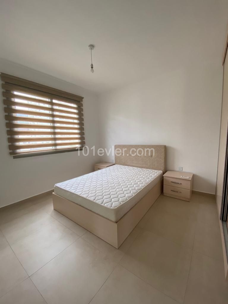 1 bedrooms flat for rent