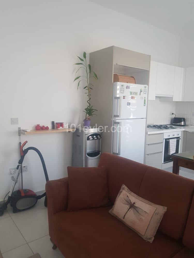 Flat To Rent in Alsancak, Kyrenia