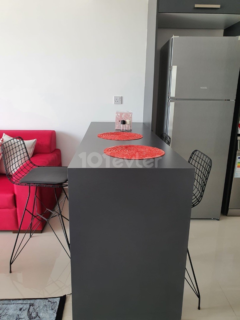 CYPRUS NICOSIA HAMITKÖY 2 + 1 ZERO APARTMENT FOR RENT, FURNISHED, SECURE SITE, 1000m2 GARDEN, CLOSE TO UNIVERSITY STOPS ** 