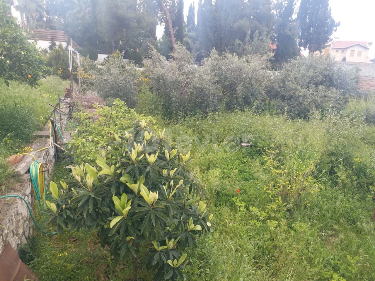 3+1 VILLA MIT GROSSEM GARTEN IN DER REGION ÇATALKOY IN KYRENIA