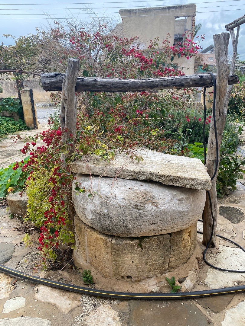 Harika manzaralı eko turizm bungalovu