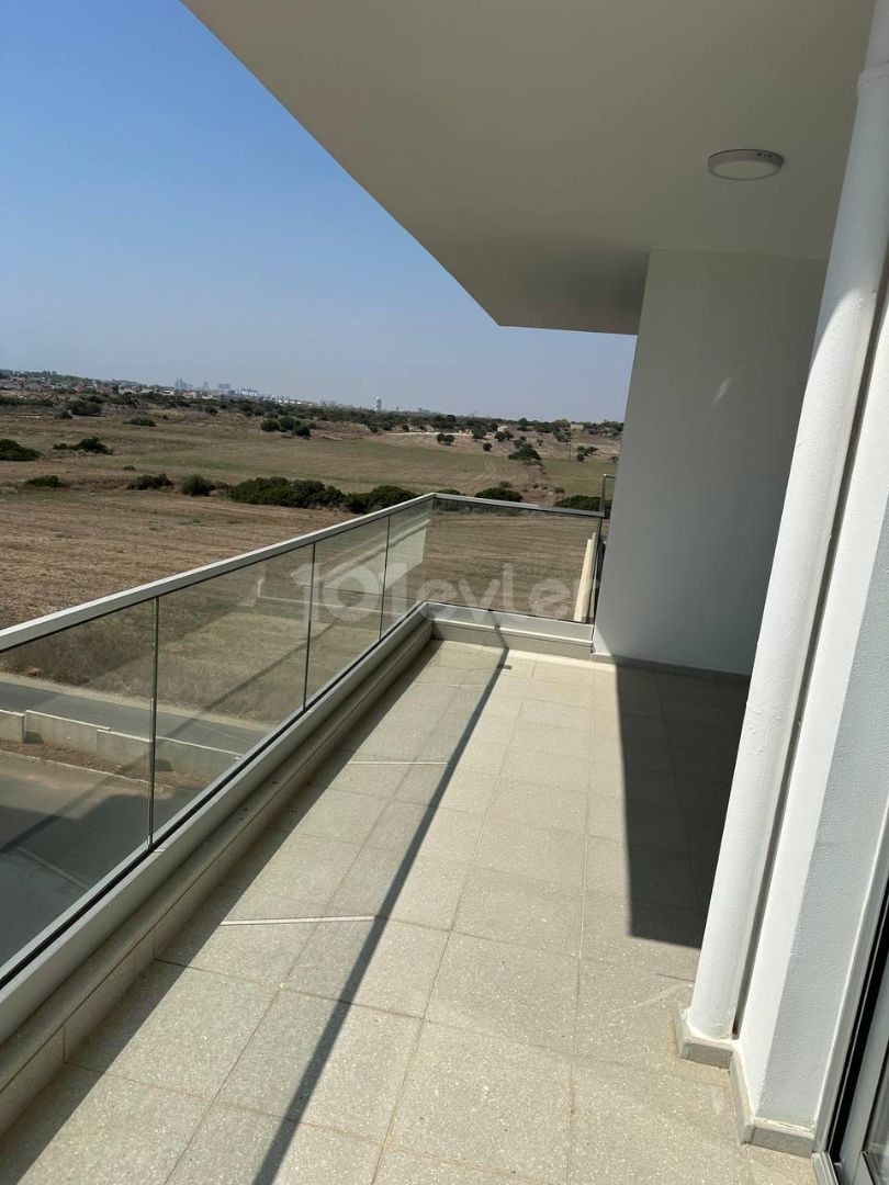 1+1 flat in ABELIA 