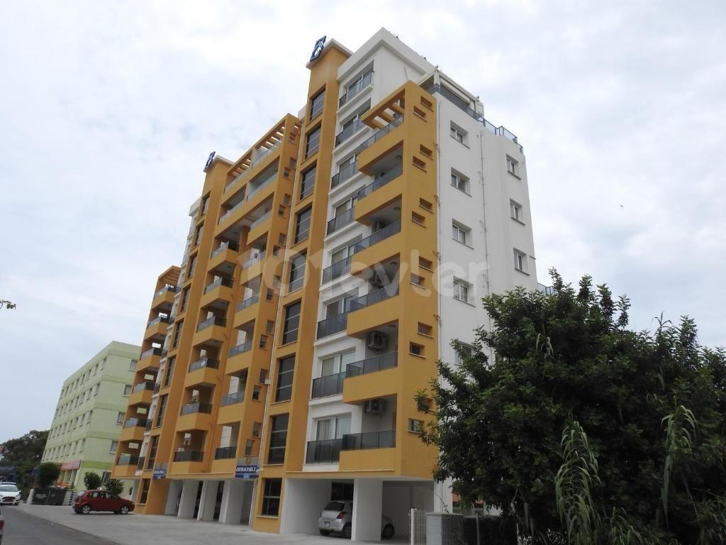 3+1 apartment for rent