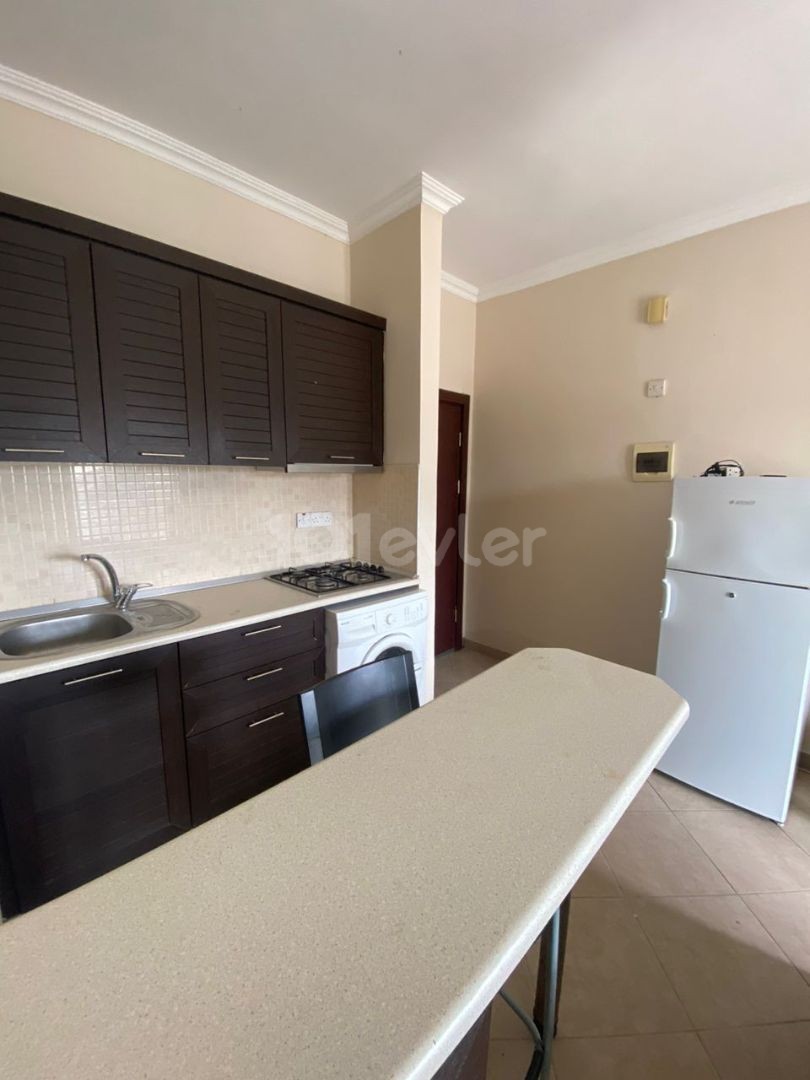 1+1 flat for rent in gulseren