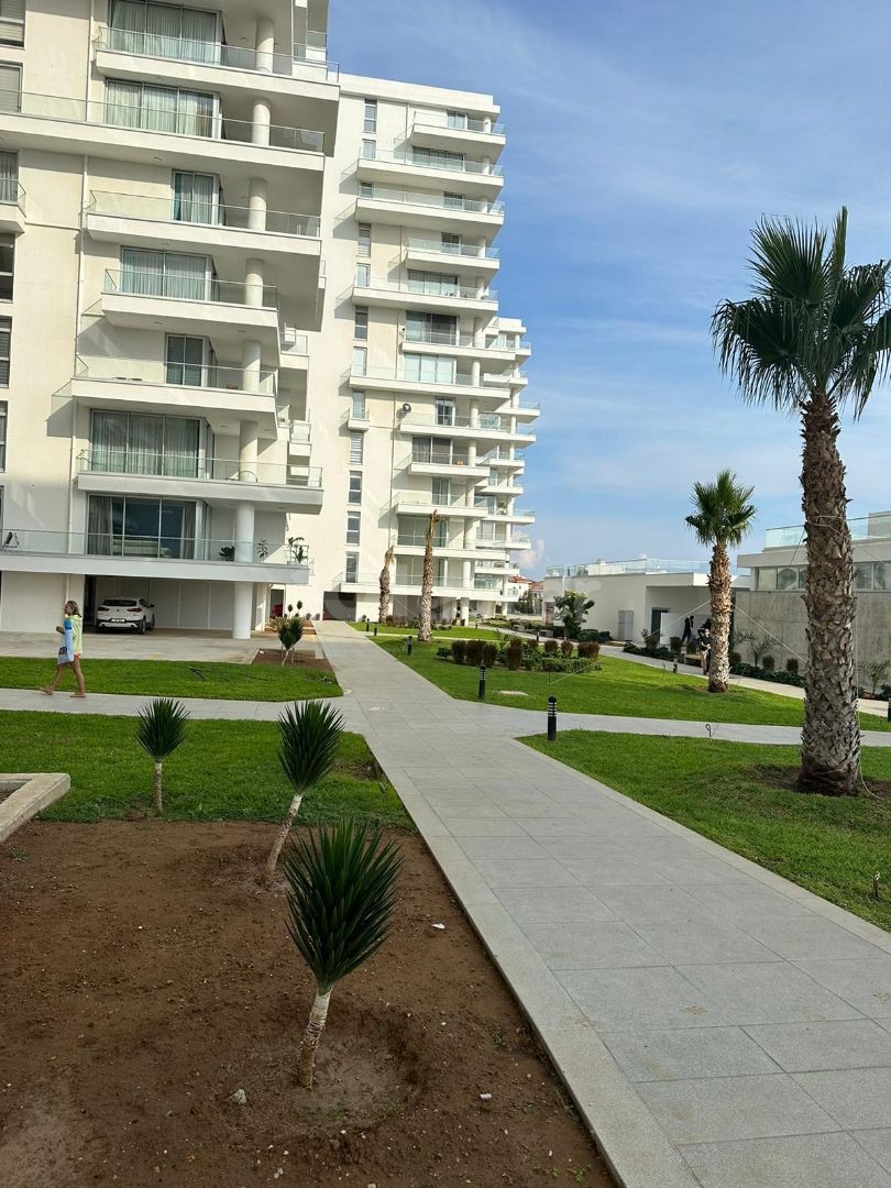 ABELIA'da kiralık 1+1 daire