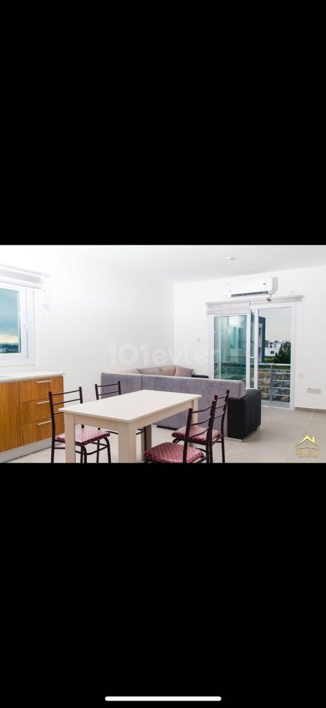 2+1 flat in Haspolat, annual rent in cash 250 stg 05338711922 05338616118 Kamsel real estate