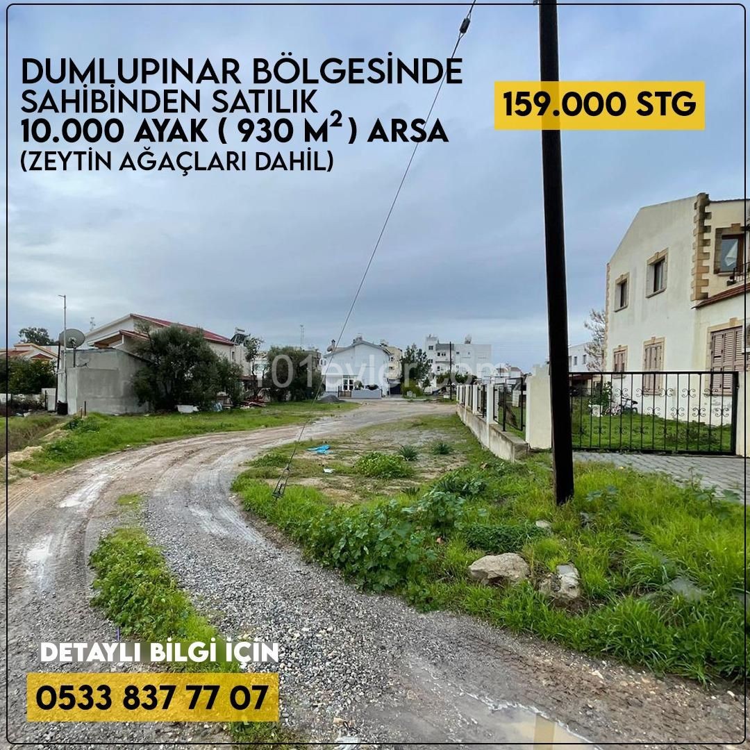FOR SALE BY OWNER 10,000 square feet of land in Dumlupınar. (3 independent villas can be built) ** 
