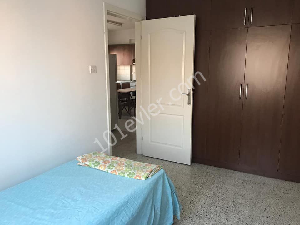 Flat To Rent in Haspolat, Nicosia