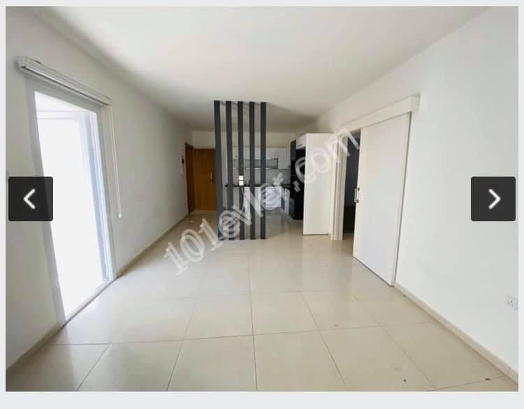 Flat To Rent in Ortaköy, Nicosia