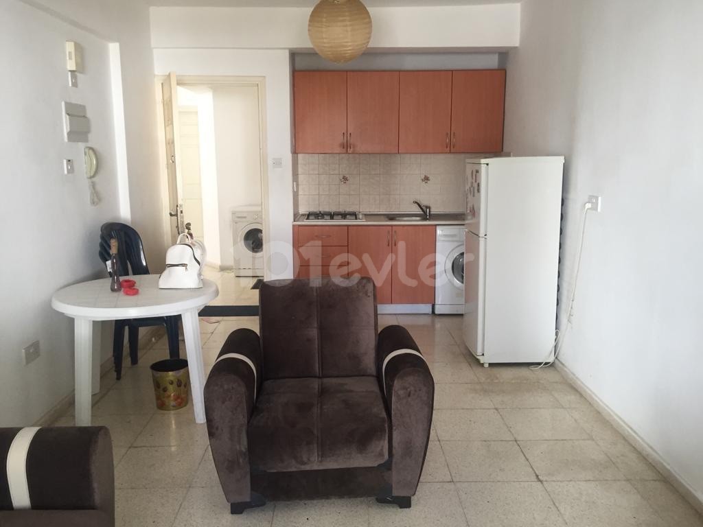 Luxury newly furnihed apartment,  5 mins walk to the universitynext to Coffee Mania/ Coffee Mania Yanı