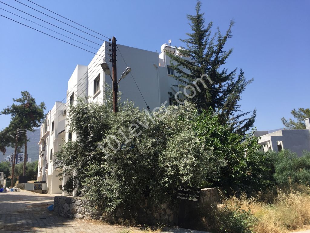 Girne Merkez Zeytinlikte sahibinden satılık komple blok bina apartman.   Yatırıma uygun kiracısı mevcut  (10 daire) KOMISYON YOK/Great opportunity for an investment block of apartment for sale from the owner in Kyrenia   Center Zeytinlik