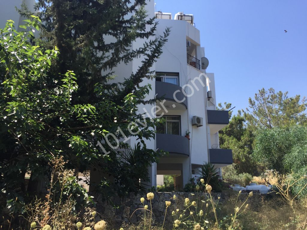 Girne Merkez Zeytinlikte sahibinden satılık komple blok bina apartman.   Yatırıma uygun kiracısı mevcut  (10 daire) KOMISYON YOK/Great opportunity for an investment block of apartment for sale from the owner in Kyrenia   Center Zeytinlik