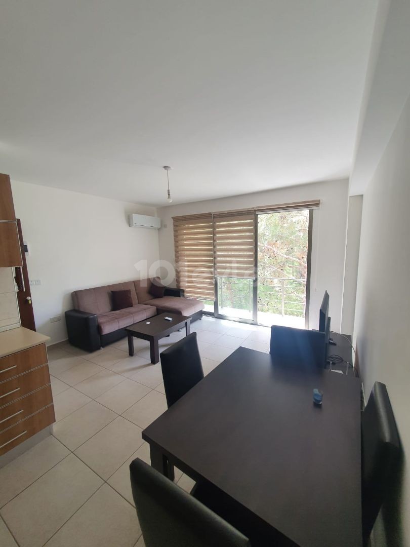 RENT 1 +1 OPPOSITE SHOKMAR MARKET IN KYRENIA CENTER ** 